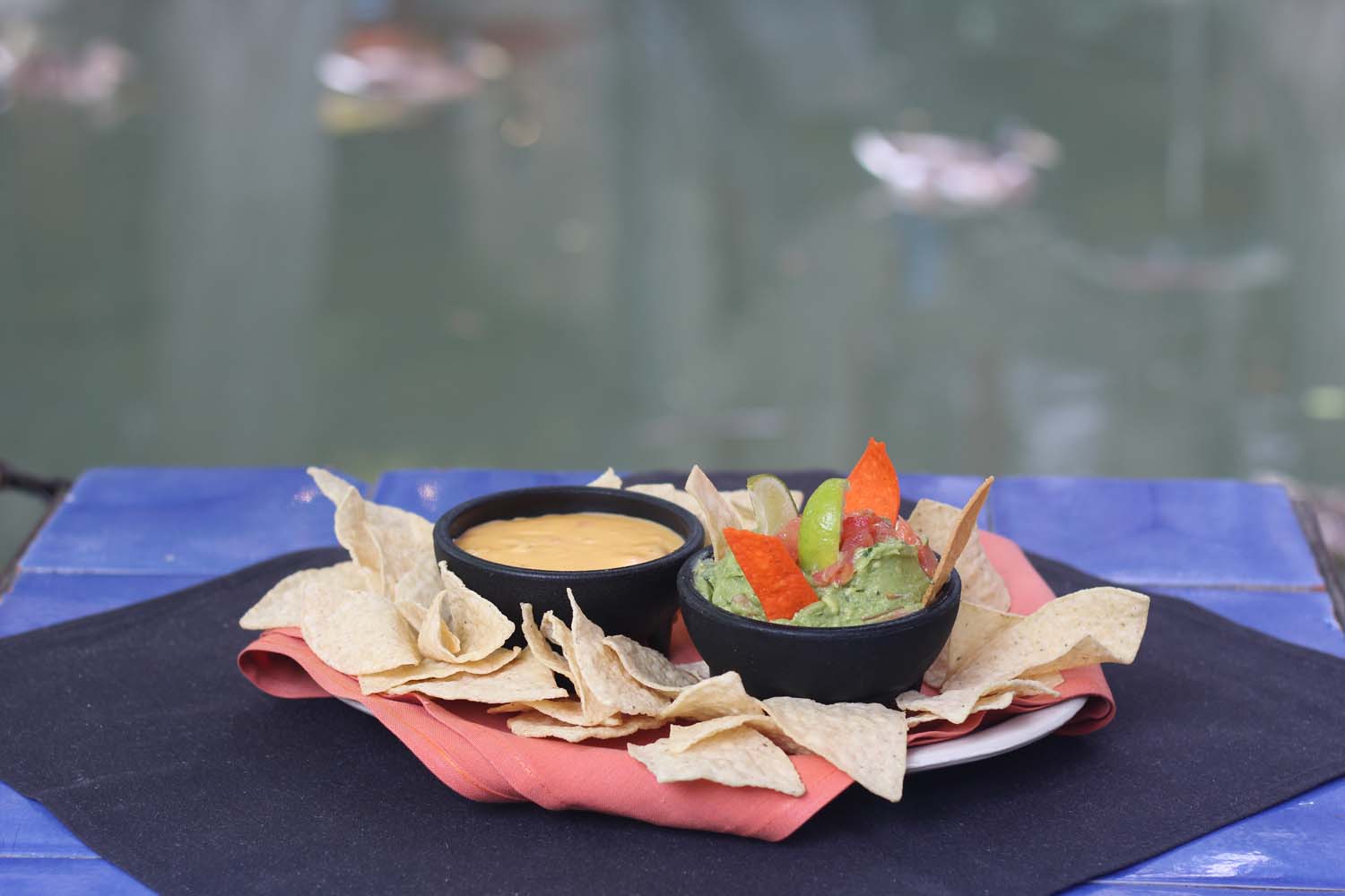Chips with queso and fresh guacamole by the river